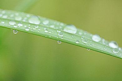 虚幻5.2引擎热带雨林技术演示推出 效果出色